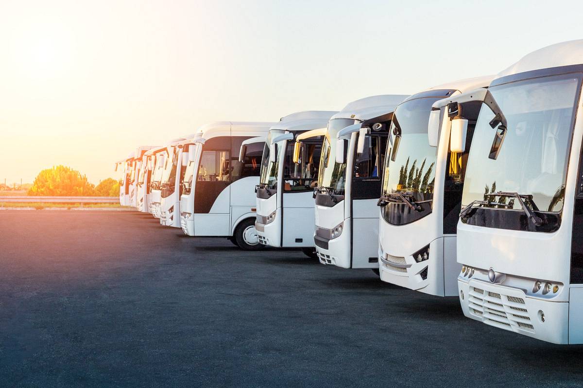 Wynajem busa na wesele – na co zwrócić uwagę?